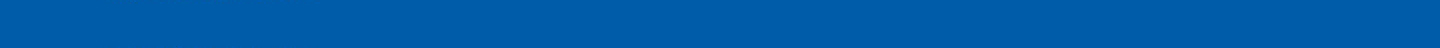 Infocredit Group